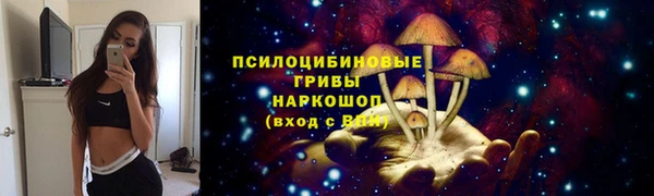 a pvp Козельск