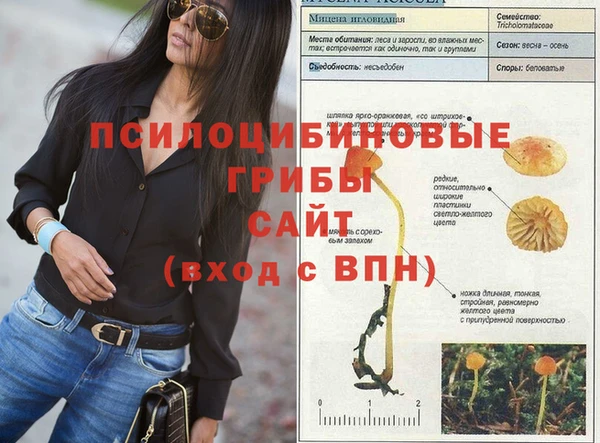 a pvp Козельск