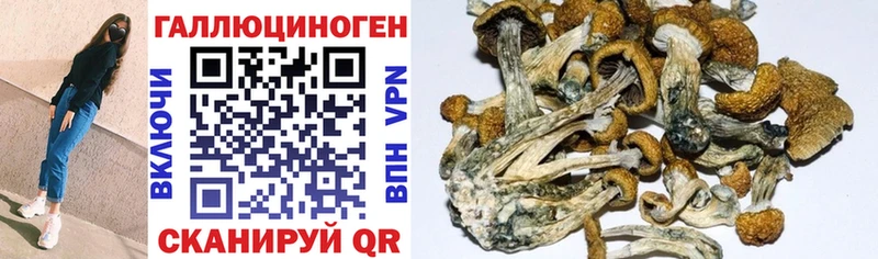 Галлюциногенные грибы MAGIC MUSHROOMS  Усть-Илимск 