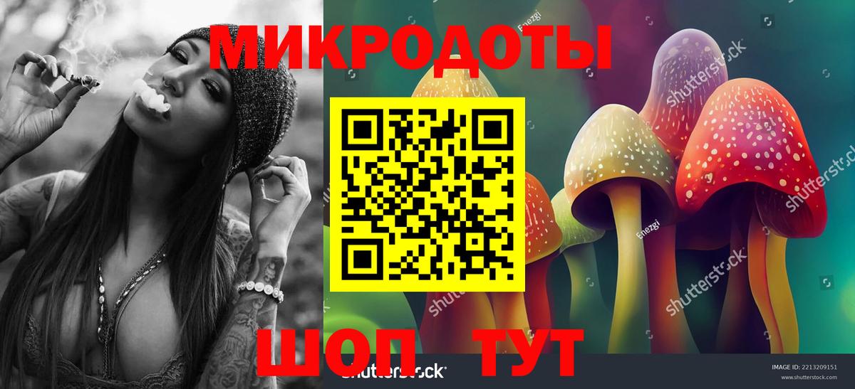 Псилоцибиновые грибы Cubensis Усть-Илимск